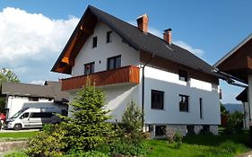 Hisa Visnar
